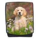Recherche de golden retriever accessoires Chiot