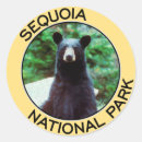 Recherche de séquoia autocollants Parc national de séquoia