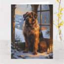 Recherche de la flandre vœux cartes Dog