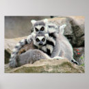 Recherche de caresse posters Mignon