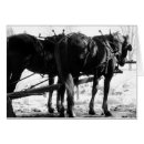 Recherche de cheval harnais posters Équipe