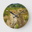 Recherche de wildlife horloges Mammifère