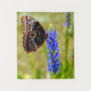 Zoek naar blauwe orchidee kunst Natuur