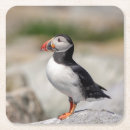Recherche de atlantique dessous de verres Animal