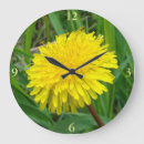 Zoek naar dandelion klokken Onkruid