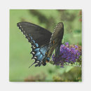 Recherche de épine magnets Photographie