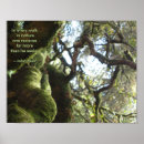 Recherche de arbre de chêne vivant posters Arbres