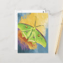 Recherche de beau papillon cartes postales Unique