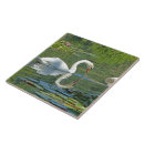 Zoek naar zwanen tegels Vogels