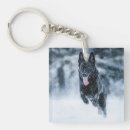 Recherche de loup noir porteclés Animal