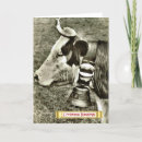 Zoek naar koe kerstkaarten Kerstmis