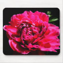 Recherche de pivoine tapis souris Fleur