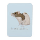 Recherche de ratties magnets Rat d'animal familier