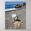 Zoek naar zeegolven posters Strand