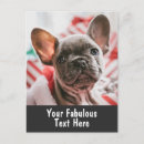 Recherche de bouledogues vœux cartes Pour tous