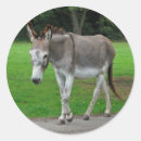Recherche de donkey autocollants Âne