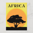 Recherche de acacia cartes postales Afrique
