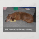Recherche de weiner dog cartes postales Dachshund