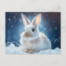 Recherche de lapin neige cartes postales Nature