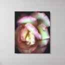 Recherche de affection impressions sur toile Américain
