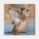 Recherche de vitre magnets Nature