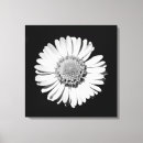 Zoek naar zwart witte bloemen kunst Eenvoudig