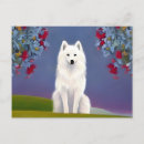 Recherche de esquimau cartes postales Mignon