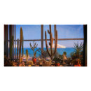 Recherche de cactus plant posters Nature