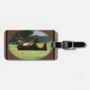 Recherche de pouliches Colt