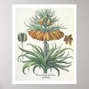 Zoek naar classe posters School