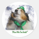 Recherche de verts de shamrock autocollants Fête de saint patrick