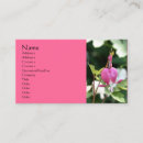 Recherche de jolie fleur cartes visite Photographie