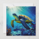 Zoek naar schildpad kaarten Florida
