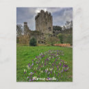 Zoek naar cork briefkaarten Blarney castle