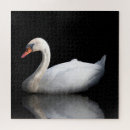 Recherche de swan puzzles Bird