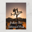 Recherche de arbre joshua cartes postales Parc national