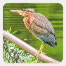 Zoek naar reiger stickers Natuur