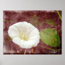 Recherche de berline art Blanc