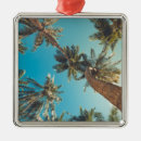Recherche de bora bora ornements Bora de bora