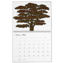 Zoek naar meditatie kalenders Reflectie