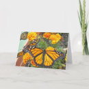 Recherche de papillons monarque vœux cartes Ailes
