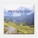 Zoek naar padden magneten Groen