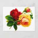 Recherche de rose rouge vintage cartes postales Romantique