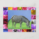 Recherche de zebra cartes postales Fleurs