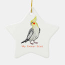 Zoek naar cockatiel ornamenten Kakkerlak