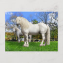 Recherche de percherons cartes postales Cheval de trait