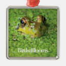 Recherche de ornement de grenouille ornements Animal