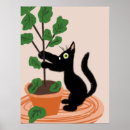 Zoek naar grappige katten posters Zwarte kat