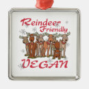 Zoek naar vegan ornamenten Vakantie