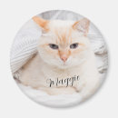 Recherche de compagnie magnets Animaux de compagnie